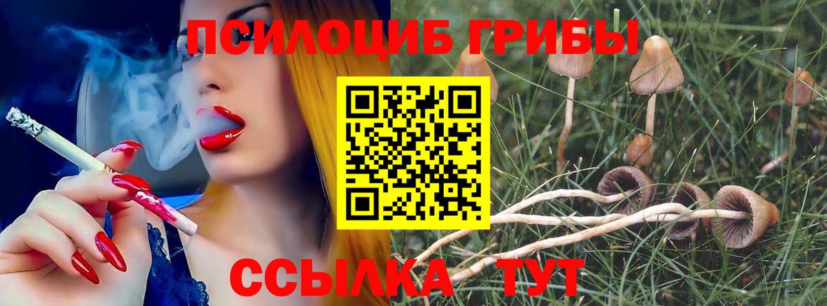 Псилоцибиновые грибы GOLDEN TEACHER  Вход с VPN  Псилоцибиновые грибы Cubensis  Обнинск 