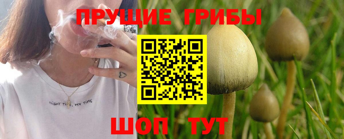 Галлюциногенные грибы GOLDEN TEACHER Обнинск